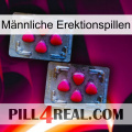 Männliche Erektionspillen 14